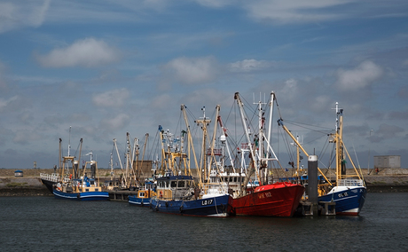 Haven Friesland