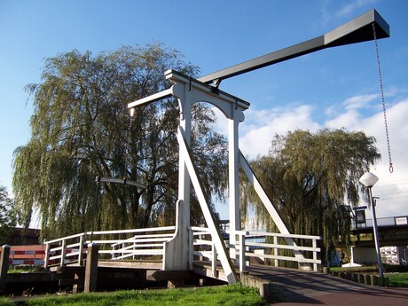 Brug en treurwilgen