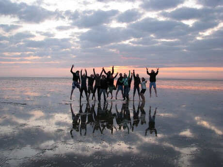 de waddenzee leeft!