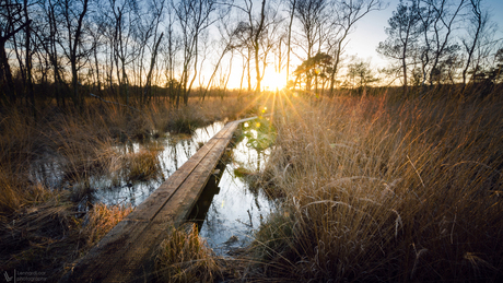 Zonsondergang in het Wooldse Veen