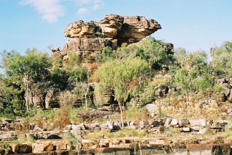 kakadu