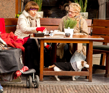 Ode aan de Oudegracht 7/25