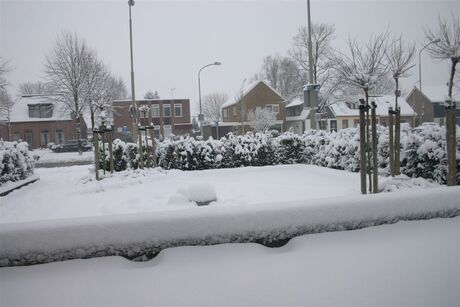 20050302 Finale sneeuw0003