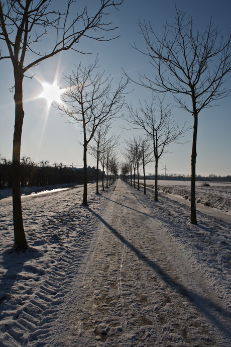 Sneeuw in Culemborg