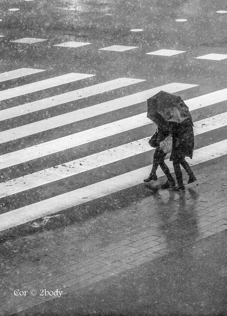 a rainy day 02