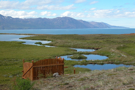 Hot pot, IJsland