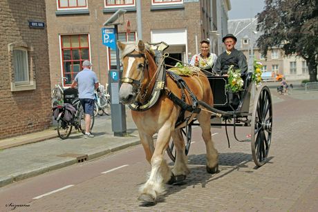 sjeesje rijden in Middelburg
