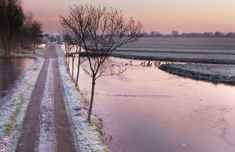 bevroren polder