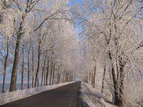 winter sneeuw januari 2009 002.JPG