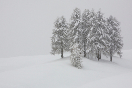 Een dag in zwart wit