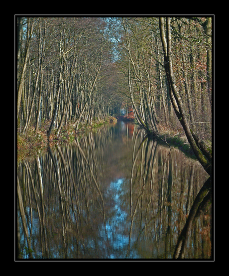 Weerspiegeling