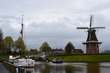 Dokkum