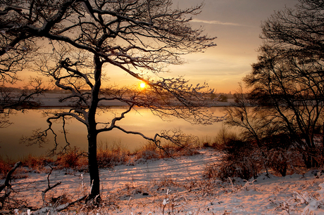 Winter aan de Maas