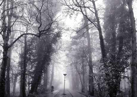 Fietser in de mist