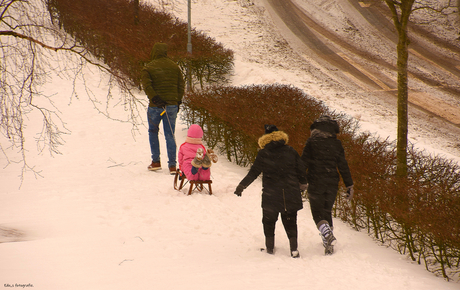 0870 Winter wandeling.