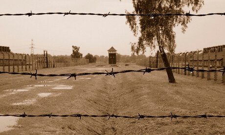 Tranen in Auschwitz