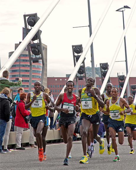 Marathon Rotterdam 2013-8