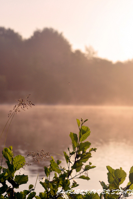 Zonsopkomst Dwingeloo
