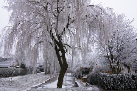 Wintersprookje.