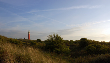 The Lighthouse