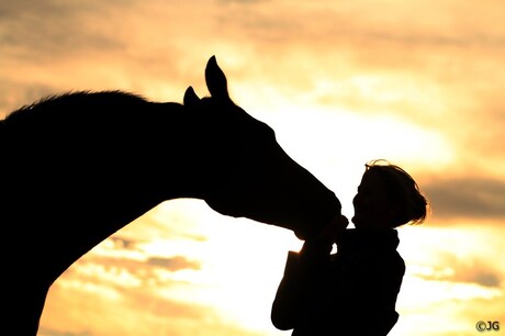 Sunset silhouet