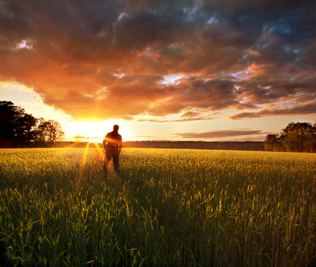 In the fields