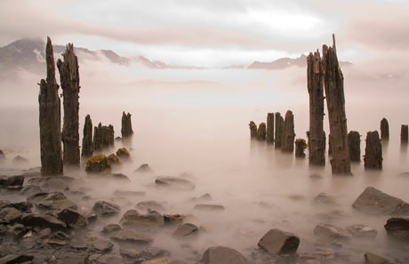 The dock of the bay