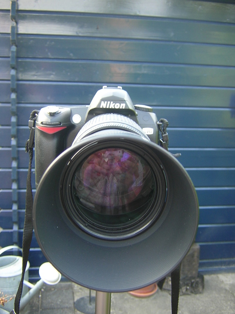 Nikon D70