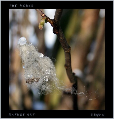 nature art the mouse