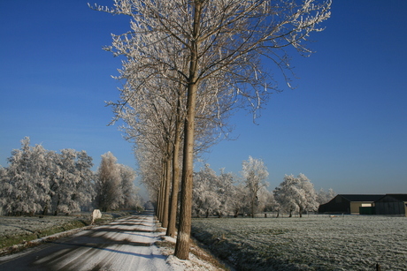 Korte Spieringweg