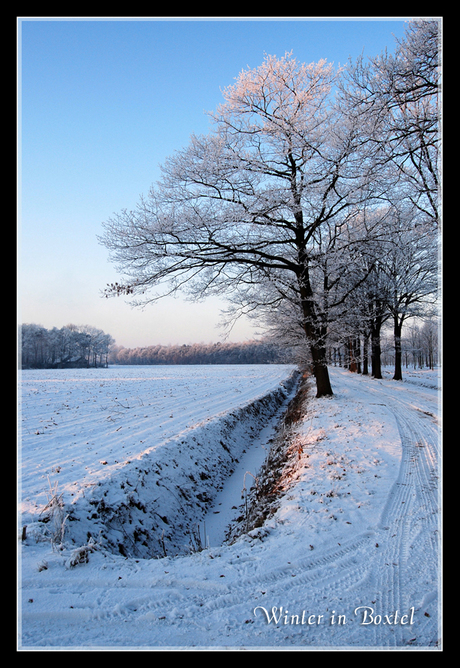 Winter in Boxtel