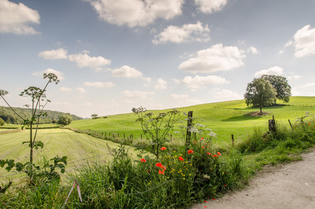 zomer in Limburg