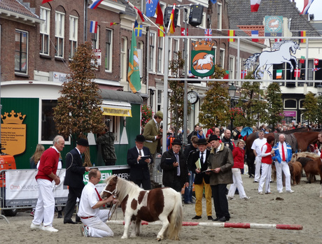 Paardenmarkt Vianen 2013