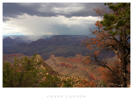 Rain at the Grand Canyon