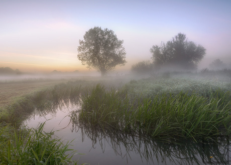 De perfecte ochtend