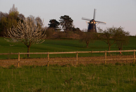 Molen Ubachsberg