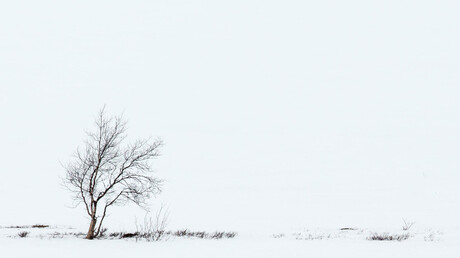 Sneeuwlandschap, Noorwegen