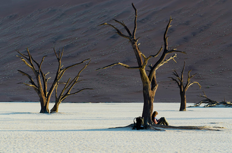 Deadvlei bij zonsondergang