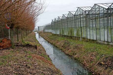 Westlands doorkijkje