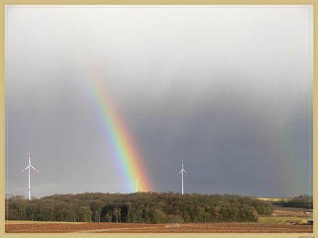 Regenboog