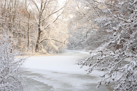 wintersfeer in Amsterdamse Bos