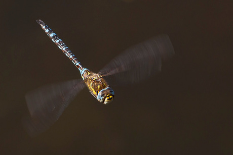 Flying above water........