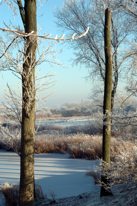 winter in "de Poel".