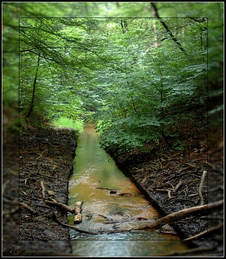 Stroompje in Beekbergen