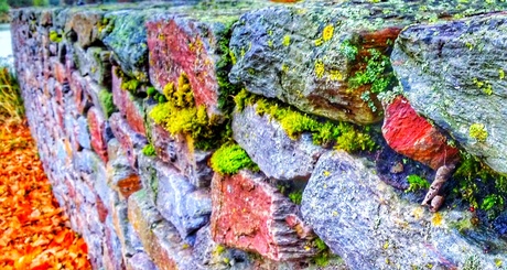 Wall touched by autumn