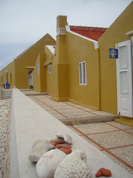 Bonaire Slagbaai