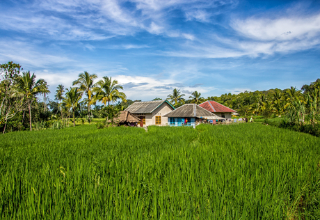Living in the Green, Tetebatu (Indonesia)