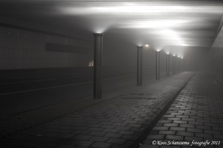 Lijnenspel in de mist