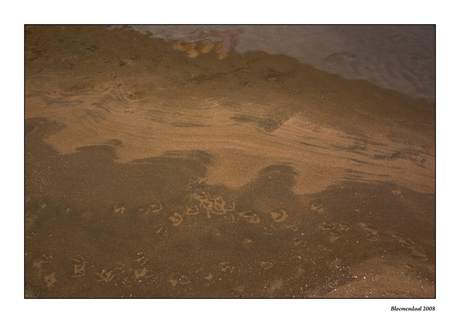 prints in the sand