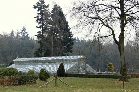 groevenbeek de druivenkassen